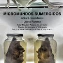 Micromundos sumergidos. Un projet de  de Anita S. Castellanos - 18.04.2013