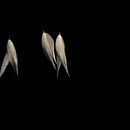 Formas de la Oscuridad. Photograph project by JOSE RAMON HERNANDEZ ESCALANTE - 08.04.2013