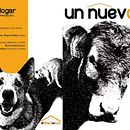 co-producción y arreglos > Un nuevo hogar. Un proyecto de Música de Roberto Mateos - 02.09.2013