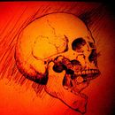 Skull. Traditional illustration project by Luis Miguel Falcón - 09.15.2013