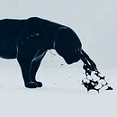 Lab. Motion Graphics, and 3D project by Artificialia Studio - 11.26.2013