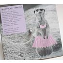 Los animales super forros. Design, and Traditional illustration project by Daniela Bekerman - 12.09.2013