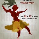 Festival de Danza Tirando Paso. Un projet de Illustration traditionnelle de Fredy Gallardo - 18.03.2013