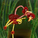 monsters. Ilustração tradicional projeto de Pablo Lorenzo Martin - 14.01.2014