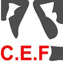 C.E.F Centro de Entrenamiento Funcional . % Rodolfo Mastroiacovo tarafından hazırlanan Tasarım projesi - 01.26.2014