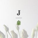 J.J. Ilundáin. Design, Photograph, Br, ing, Identit, Editorial Design, Graphic Design, Interior Design, L, scape Architecture, and Web Design project by Estudio Lina Vila - 01.27.2014