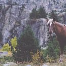 Horse's Territory. Un progetto di Design editoriale, Fotografia e Paesaggismo di Jordi Rulló - 27.10.2013