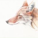 lápices de colores :). Projekt z dziedziny Trad, c i jna ilustracja użytkownika Eva García-Bajo Pierna - 11.02.2014