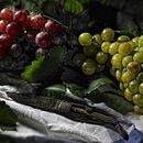 Bodegones Personales. Product Photograph project by Alfonso Bustos Toldos - 02.12.2014