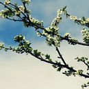 Portfolio de fotografia/ Lucía Lanfrit . % Lucía Inés Lanfrit tarafından hazırlanan Fotoğrafçılık projesi - 03.04.2014