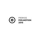 Feelmotion 2013. Un proyecto de Br, ing e Identidad, Dirección de arte y Motion Graphics de David Huertas - 09.05.2013
