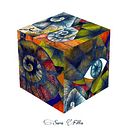 Cubos Fittaneos. Traditional illustration project by Sara Fitta - 03.14.2014
