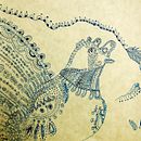 PECES Y AVES. Art Direction project by Sara Fitta - 03.14.2014