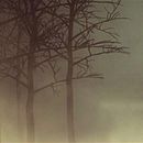 BraveHeart | Title Sequence. Un proyecto de 3D, Dirección de arte y Motion Graphics de Estefania Prats Miras - 30.03.2014