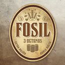 Cerveza Fosil. Graphic Design project by Carlos Ruiz Gallardo - 05.08.2013