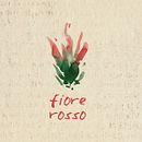 Fiore Rosso | Bookshop. Art Direction, Design, Graphic Design, and Traditional illustration project by Silvia Cairol - 04.14.2014