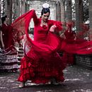 Flamenco. Un projet de Photographie de Carola Etchepareborda - 27.04.2014