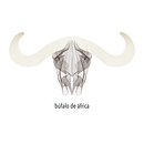 Cornalia. Un progetto di Illustrazione tradizionale di Fernanda Rojas - 29.04.2014