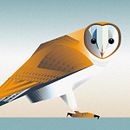 Nuevo proyecto. Editorial Design, and Graphic Design project by moebo estudio - 05.07.2014