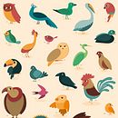 Genera Avis - Genera Piscis. Design, and Traditional illustration project by Raquel Jove - 05.27.2014