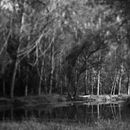 There is a path //. Photograph project by Aurora Sanz - 04.23.2014