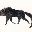 Bâtard. Un proyecto de Bellas Artes, Diseño de personajes e Ilustración tradicional de Marina Pessarrodona - 08.06.2014
