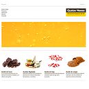 Gustavheess. Un proyecto de Desarrollo Web y Diseño Web de Alba Junyent Prat - 26.06.2014