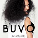BUVO PROJECT. Un proyecto de Br, ing e Identidad y Diseño Web de ibai_2 - 08.07.2014