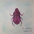 Pinky beetle! . Arts, Crafts, Fine Arts, Design, Traditional illustration, and Painting project by María Contreras - 07.12.2014