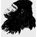 Gorilla. Un progetto di Illustrazione tradizionale di albertoem89 - 20.07.2014