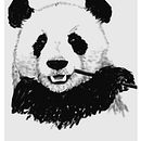 Panda. Un progetto di Illustrazione tradizionale di albertoem89 - 21.07.2014