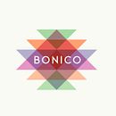 Bonico. Br, ing, Identit, Web Design, and UX / UI project by Iñaki de la Peña - 08.06.2014