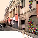 The yard garden. Design project by ángeles benítez aranda - 08.07.2014