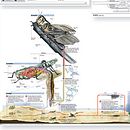 Recopilación trabajos diversos . Desain Editorial proyek oleh Fran Barquilla - 08.19.2014
