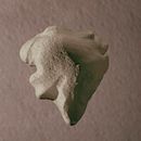 Miradas 03. Un progetto di 3D di Rosa Miraflores - 26.08.2014