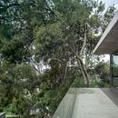 Casa en un monte. Un proyecto de Arquitectura y Fotografía de Jesús Granada - 21.09.2013