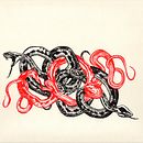 Men`s Apparel. Un proyecto de Bellas Artes, Diseño gráfico e Ilustración tradicional de kamila - 22.09.2014