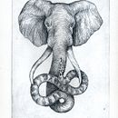 "Bestiario" - Aguafuertes. Un proyecto de Bellas Artes e Ilustración tradicional de Celeste Ciafarone - 31.03.2014