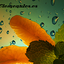 Clemenules.es wallpapers. Un proyecto de Diseño gráfico, Fotografía e Ilustración tradicional de Vicent casabó escrig - 14.10.2014