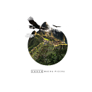 Machu Picchu, Cusco. Projekt z dziedziny Br, ing i ident, fikacja wizualna,  Manager art, st i czn użytkownika cesardsignr - 23.10.2014