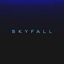 Proyecto fin de Máster - Skyfall - Créditos de apertura. Een project van 3D, Animatie, Film, video en televisie y Motion Graphics van David Gutiérrez Bravo - 30.07.2014