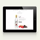 Stoli web. Web Design project by allende lopez - 11.09.2014