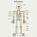 Cuerpo Humano. Een project van  Ontwerp y Traditionele illustratie van David Serrano - 13.11.2014