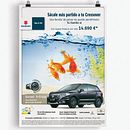 Gráfica peces Ein Projekt aus dem Bereich Kunstleitung und Design von Betsabé Blanco Sánchez - 22.11.2014