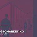Geomarketing xpert. Br, ing, Identit, Design, Graphic Design, T, and pograph project by Albert Escrichs© - 12.01.2014