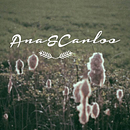 Ana :: Carlos. Un proyecto de Cine, vídeo y televisión de UnParDeMedias - 11.12.2014