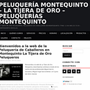 La Tijera de Oro. Projekt z dziedziny Web design użytkownika Fco Javier Merino - 17.12.2014