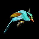 Birds. Een project van  Beeldende kunst,  Ontwerp y Traditionele illustratie van Melanie Rosenthal - 23.05.2015
