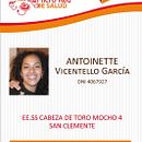 Otros formatos . Design grafic de Rossy Castro - 12.28.2014