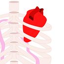 Vida.. Un progetto di Design e Illustrazione tradizionale di Carmen Becerro de Bengoa - 20.01.2015